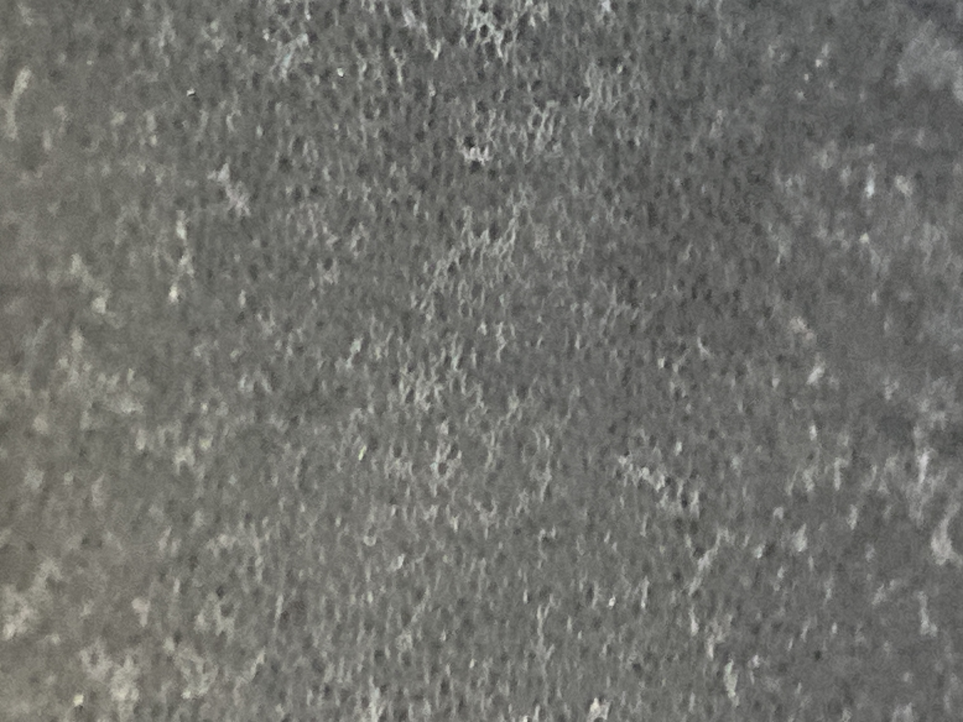 Parata maker and waiter need