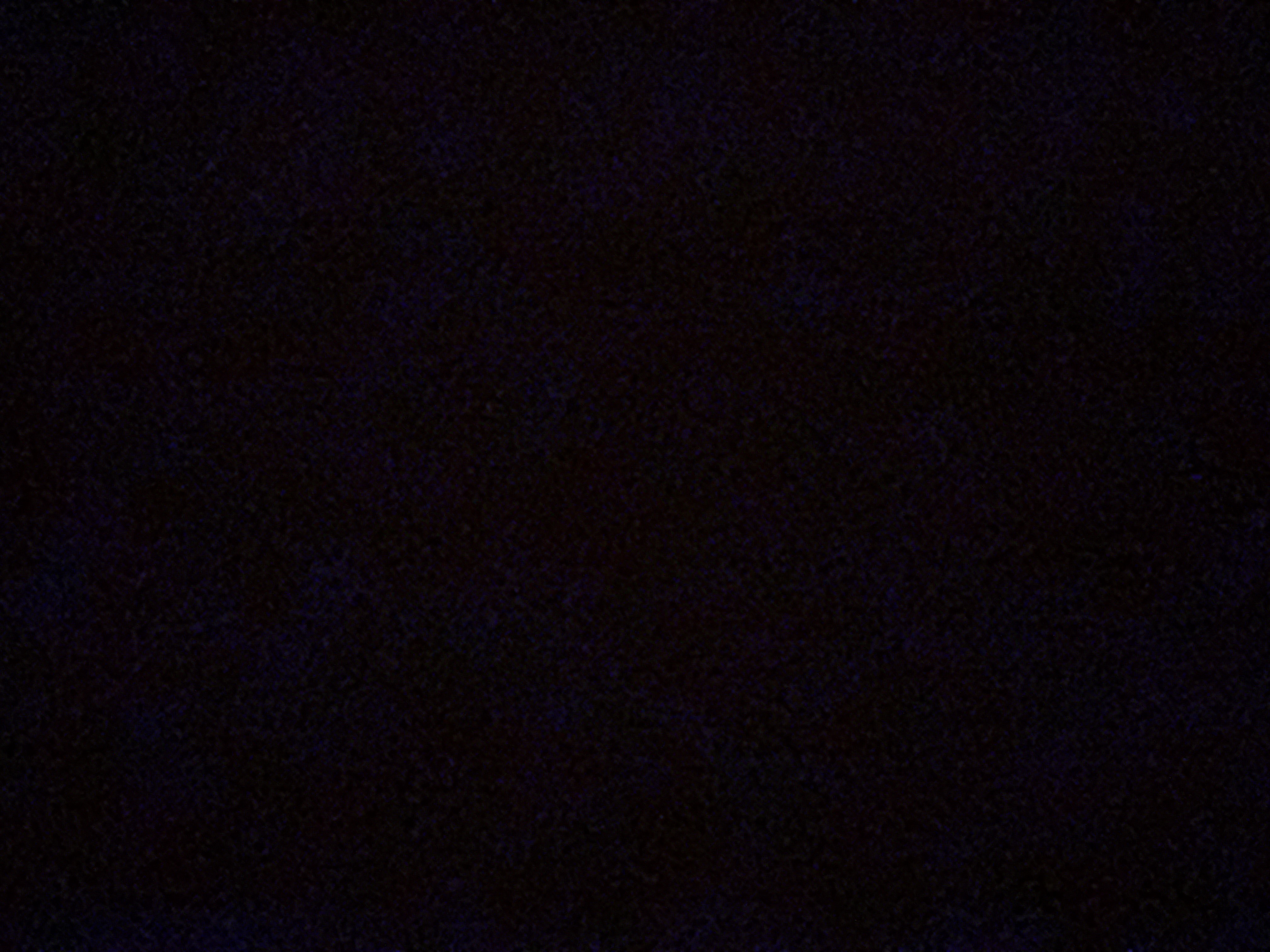 Sales specialist, Digital Marketer, Content creator 