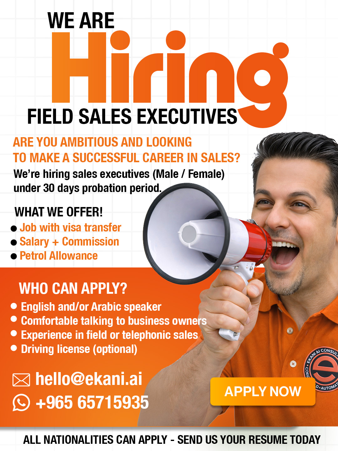 SALES EXECUTIVE